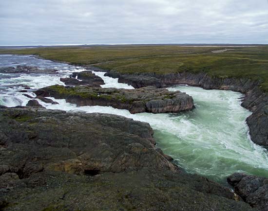 Barren grounds