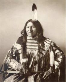 Kicking bear 3