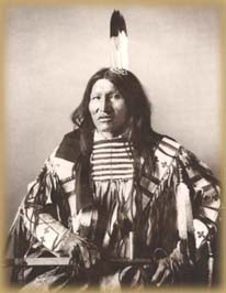 Kicking bear