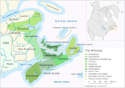 The mi kmaq
